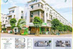 Chính sách tốt, ưu đãi cực khủng