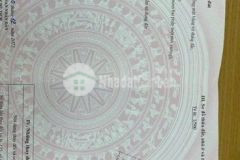 Đất đấu giá suối rồng đồ sơn đồ sơn hp giá rẻ nhất khu