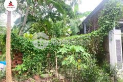 Hơn 300m2 đất tp mỹ tho, đường xe hơi chỉ vài trăm triệu