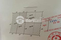 Nhà hoa bằng thông sang trung kính oto tránh knh doanh 11,9 tỷ. lô góc