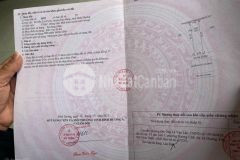 Chú hải cần tiền xây nhà bán gấp lô đất sát khu công nghiệp bàu bàng bình dương