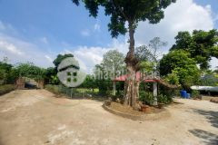 Bán khu nghỉ dưỡng lương sơn, hòa bình. dt 10.000m2 giá chỉ nhỉnh 1trm