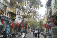 Chuyển đổi đầu tư bán gấp mảnh đất phố hoàng hoa thám giá 17 tỷ, 160m2. mt 11m.