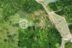 Bán 73 ha đất nông nghiệp xã lộc bắc, huyện bảo lâm