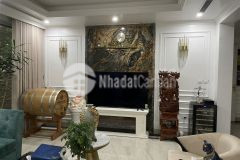 Bán bt vườn vip tây nam linh đàm hồ linh đàm xanh trong quanh năm view công viên vườn hoa 200m m