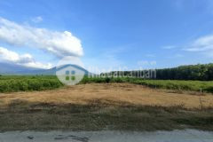 Bán đất khánh bình giáp suối giá rẻ làm vườn gần tỉnh lộ 8