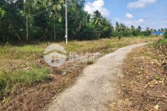 Bán nền 500m2 huyện trần đề