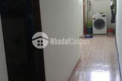 Nhà hẻm đường 185 phước long b,dt 64m cấp 4