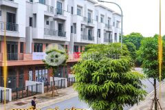 Miễn lãi 2 năm khi đến với centa diamond