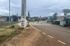 Vì cần tiền cho con trả tiền nợ mua nhà thành phố nên cần bán cắt lỗ