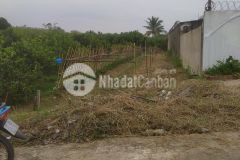 Cần bán gấp 500m² đất gần đại học nam cần thơ, thuộc mỹ khánh, phong điền, cần thơ.