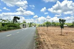 Bán nhanh lô đất mặt tiền đường nhựa 500m2