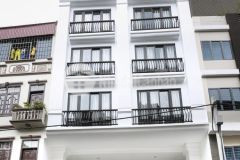 Bán gấp đất xây ccmn tại láng hạ, ô tô đỗ cửa, 163m2, mt 11m, 26 tỷ