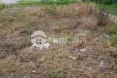 Gia đình tôi đang cần tiền bán gấp lô đất 250 m2 giá 195 triệu có sẵn 100 m2 tc