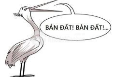 Bán đất mặt đường võ nguyên giáp,đối diện trường cao đẳng y hạ long đường to