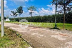 Bán gấp đất nền giá tốt ấp 1 nhơn bích