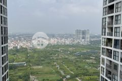 Vì sao 99 khách đầu tư muốn mua căn góc 2pn1 zenpark vinhomes ocean park. lh em nhung