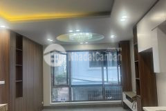 Bán nhà phố trạm 7 tầng thang máy ô tô kinh doanh long biên