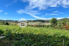 Cần tiền bán gấp lô đất 3850m2 giá 2 tỷ tại tu tra