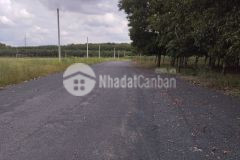 Cần bán đất nền chính chủ giá rẻ tại ấp 1 nha bích chơn thành