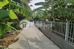 Bán nền 500m2 huyện trần đề giá 250 triệu