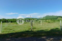 Bán đất khánh bình giá rẻ giáp suối gần tỉnh lộ 8