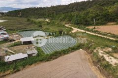 Ace nhanh tay sở hữu ngay cho mình lô đất đẹp với giá tốt nhất ạ