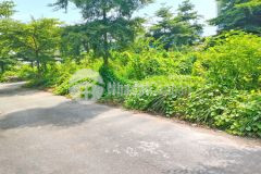 Lô đất 2 mặt tiền đường nhựa 6m huỳnh tấn phát, phú xuân, nhà bè