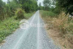 4 mẫu đất trồng dừa xã thạnh lợi, bến lức, long an giá 15,5 tỷ