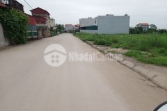 Giãn dân cát lư, chỉ đạo, vị trí kinh doanh, sát kcn phố nối a lh 0828218468