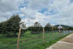 Bán gấp lô đất 520 mét giá 250 triệu