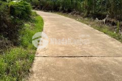 Về quê sống với con cái nên bán gấp vườn sầu hơn 2 sào 350 triệu