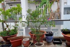4 tầng, 63m2, hẻm 6m, gần gò dầu, giá 6.99 tỷ