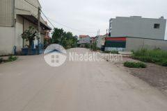 Giãn dân cát lư, chỉ đạo, văn lâm, vị trí kinh doanh, giá tốt lh 0835459289