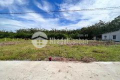 𝐓ô𝐈 𝐂ầ𝐍 𝐁á𝐍 𝐆ấ𝐏 𝟐 𝐋ô đ𝐀t l𝐈ề𝐍 𝐊ề 1𝟎x𝟑5𝐌, giá 360 triệu