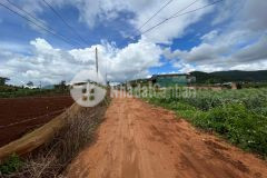 Đừng bỏ lỡ cơ hội sở hữu lô đất tại suối thông giá chỉ 600 triệu