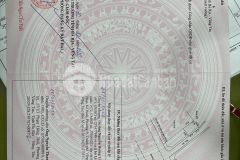 Cần bán đất hẻm ô tô phạm hồng thái. phường 7. tp vũng tàu.