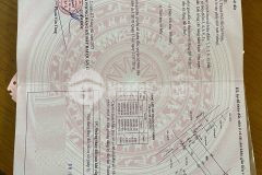 Bán dãy nhà trọ apđ 9, phường apđ, quận 12 6 x 18, giá 5,35 tỷ.