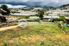 Bán gấp lô đất 2 mặt tiền đường nhựa nam hồ