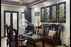 Bán nhà mai động, ô tô, kinh doanh, thang máy, 45m2x5t, 15.99 tỷ.