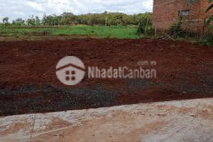 Chính chủ cần bán 260 mét giá 195 triệu 100 mét thổ cư