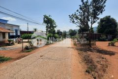 Cơ hội đầu tư siêu lợi nhuận cho ace đây ạ