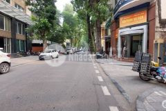 Bán nhà mặt phố lý nam đế quy hoạch ổn định lô góc kinh doanh siêu đỉnh 44m 20xtỷ