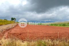 Nhanh tay sở hữu ngay đất nền suối thông