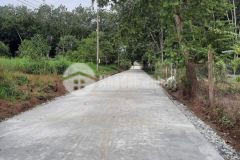 Cần bán 1018m2 đất vườn sầu mặt tiền đường 12m, đất đẹp ngang 17m