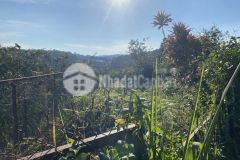 Chỉ 25 triệum2 tậu ngay nền đất view rừng thông cực thoáng