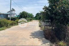 Bán gấp vườn mít 2143m2 đang thu hoạch giá 486 triệu