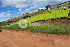 Ace không tin có đất đẹp giá rẻ vì chưa biết đến em thôi ạ