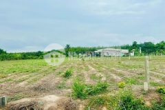 370 m2 giá 390 triệu khu dân cư đông đúc, kế bên khu công nghiệp gọi ngay xem đất