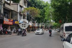 Mặt phố ngọc lâm, vỉa hè thênh thang, kinh doanh vô địch.